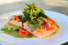 salmon-green-curry2